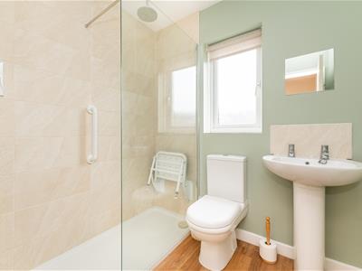Picture 15